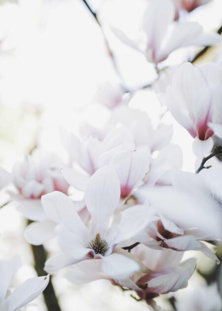 20220417155433__T4A0492