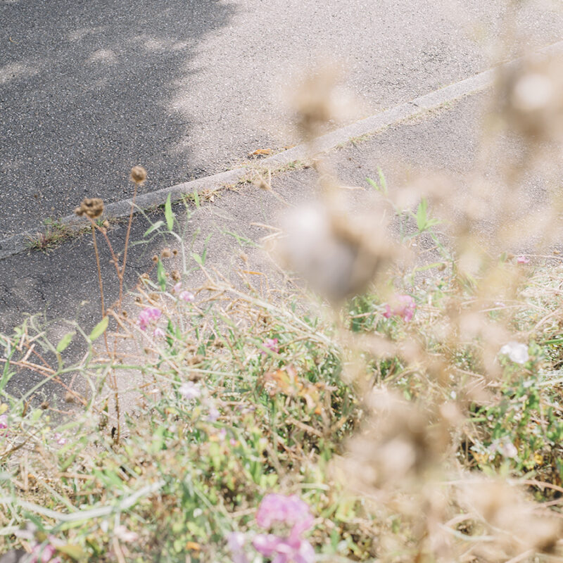 SUMMER